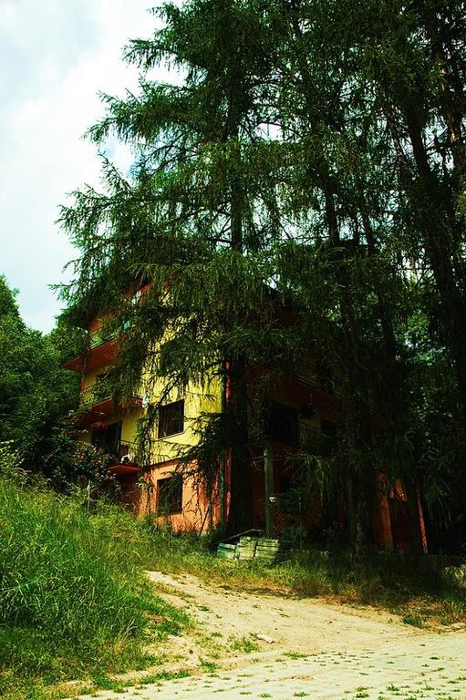 Raj Muszyna Apartamenty Z Widokiem Na Panorame Gorska Εξωτερικό φωτογραφία